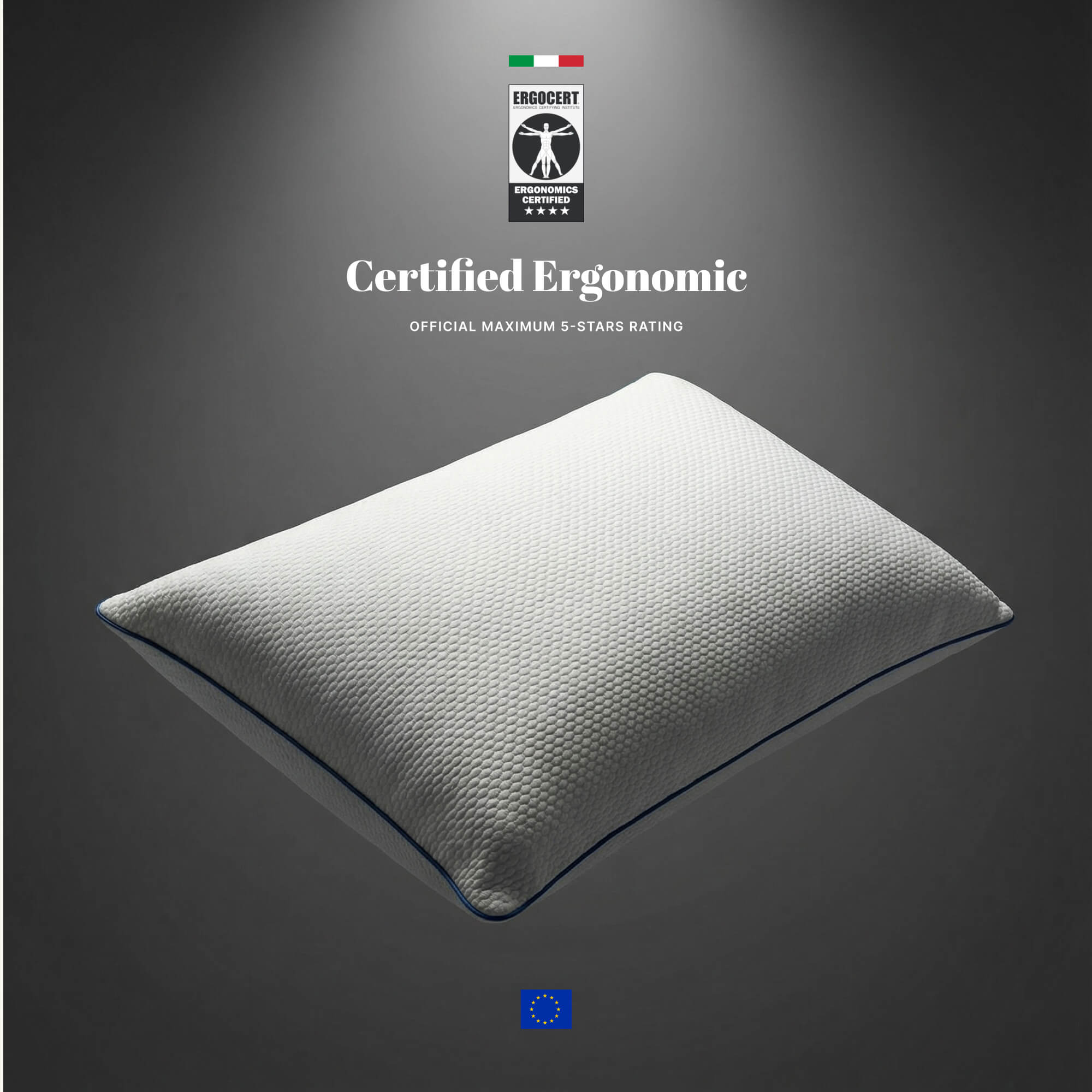 Viscospring Signature Pillow