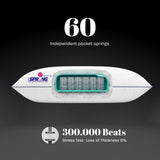 Viscospring Signature Pillow